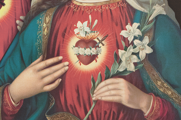 Immaculate Heart Of Mary Cause Of Our Joy The Divine Mercy