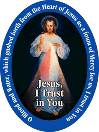Healthcare Professionals for Divine Mercy
